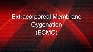 Extracorporeal membrane oxygenation ECMO [upl. by Ebeneser]