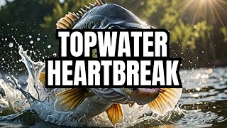 Bassin Topwater Heartbreak [upl. by Nuajed997]