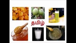 தமிழின் இனிமை பாடல்  ஐந்தாம் வகுப்பு  Term1  Tamizhin Inimai Song [upl. by Evin297]