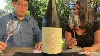 2015 Planeta Vittoria DOC Frappato Sicilian Red Wine [upl. by Wordoow820]