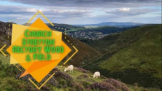 🇬🇧 Черч СтреттонАнглияШопшир Church Stretton Rectory Wood amp FieldEnglandShropshireLong Mynd [upl. by Ahseit]