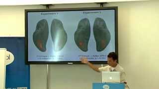 Day 34  fMRI  Functional Magnetic Resonance course  BCBL [upl. by Eatnad]