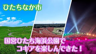 《ひたちなか市》国営ひたち海浜公園でいろんなコキアを楽しんできました！ [upl. by Sasnak]