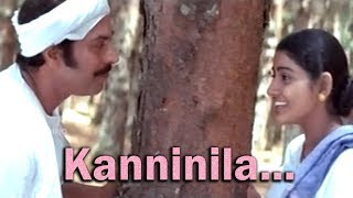 Kanninila  Oru Maravathoor Kanavu Malayalam Movie Song  Mammootty  Divya Unni [upl. by Perni]