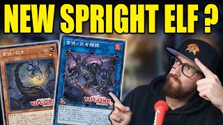 CRAZY NEW ARCHETYPE FOR YUGIOH  RAIKA [upl. by Vally]