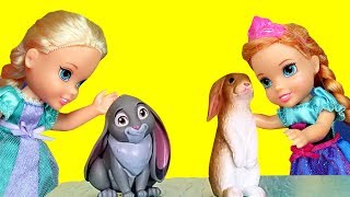 PETS  Elsa and Anna toddlers at school  spelling  Barbie is the teacher [upl. by Anuaik]