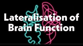 Lateralisation of Brain Function [upl. by Kacie830]