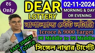 02112024 morning 6pm 8pm Target Number NagalandLottery Sambad LiveLottery Target Number [upl. by Vogeley]