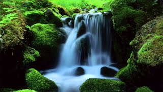 MOUNTAIN STREAM Nature Sounds 10 Hours Relax Meditate Sleep [upl. by Ogawa983]