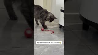 Balle interactive pour occuper vos chats [upl. by Ayala]