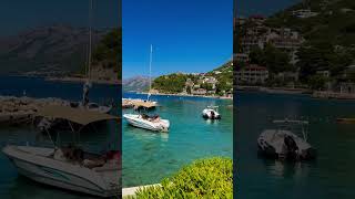 Chorwacja Brela Riwiera Makarska 2024 croatia travel bar beach beachvibes cicada summer sun [upl. by Ilanos]