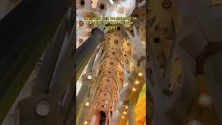 Is Visiting Sagrada Família Towers Worth It A Breathtaking View Inside Barcelonas Iconic Basilica [upl. by Nyledam285]