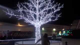 O Christmas Tree  Carol Song Music Video  O Tannenbaum Lyrics [upl. by Otokam]