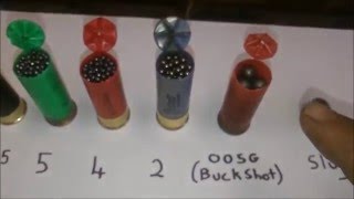 Shotgun Basics shot size [upl. by Onateag]