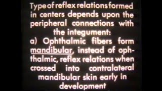 1940s Lab Experiment Roger W Sperry  Caltech [upl. by Akihsal]