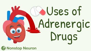 Uses of Adrenergic Drugs  Sympathomimetic Drugs Pharmacology  Adrenaline Noradrenaline etc [upl. by Iz]