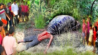 Anaconda Attack Man In Forest  Anaconda Attack In Real Life  anaconda snake attack story part03 [upl. by Noteloc]