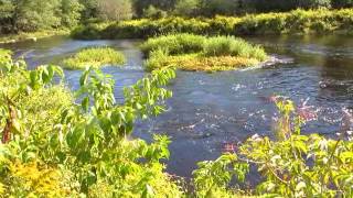 Sheepscot River Canoe Trip Below the Dam to the Bend [upl. by Kai]