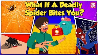 How Does Spider Bite  Worlds Deadliest Spiders  Most Venomous Spider  The Dr Binocs Show [upl. by Afinom290]