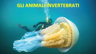 GLI ANIMALI INVERTEBRATI [upl. by Thompson]