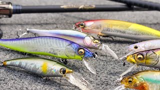 Jerkbait Tips For Early Fall Tricks To Get More Bites [upl. by Ansel951]