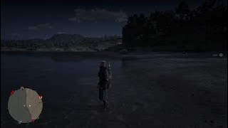 Red Dead Redemption 2 Common Petrified Wood Fossil location [upl. by Neukam720]