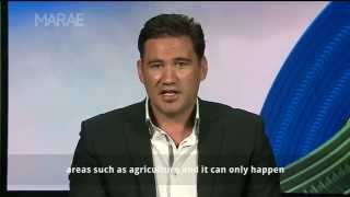 Ngapuhi Cash Cows  Te Tumu Paeroa Maori Trustee Jamie Tuuta [upl. by Noevart870]