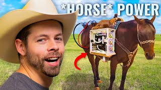 I Built a Horse Powered PC Setup [upl. by Garth43]