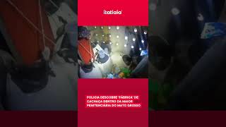 POLICIA DESCOBRE FÁBRICA DE CACHAÇA DENTRO DA MAIOR PENITENCIÁRIA DO MATO GROSSO [upl. by Netnert]