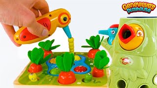 Best Toy Learning Video for Toddlers and Kids  Learn Colors and Counting in the Garden [upl. by Volotta]