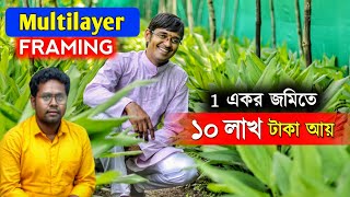 চাকরি ছেড়ে Organic Farming  1 একরে বছরে আয় 10 লাখ  Multilayer farming akashchourasiyamultilayer [upl. by Adieno]