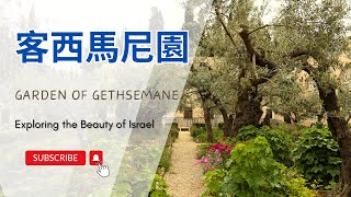 【以色列】客西馬尼園  亞洲旅遊  Israel Travel  自助旅行  行腳紀錄 [upl. by Desi26]