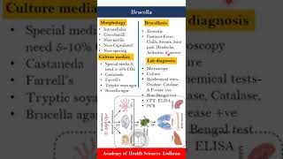 Brucella causing zoonotic disease  Microbiology  by Imran Yaseen [upl. by Sherrer]