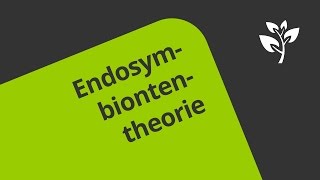 Die Endosymbiontentheorie Wie Chloroplasten und Mitochondrien entstanden sind  Biologie [upl. by Melina579]