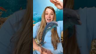 Ocean Animals 🐬 Opposites Song kidssongs kidslearning [upl. by Onyx]