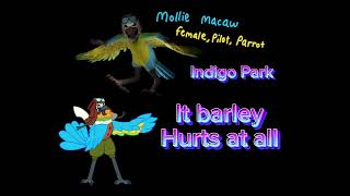 Mollie Macaw voicelines Indigo Park Glamrock Circus Baby ☆ [upl. by Tirb]