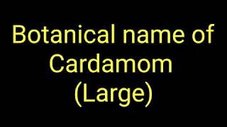 Botanical name of Cardamom large  Scientific name of Cardamom large  बड़ी इलायची का वैज्ञानिक नाम [upl. by Faucher]