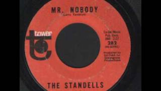 The Standells  Mr Nobodywmv [upl. by Elockcin46]