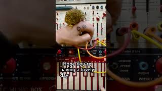 Dammit Simon buchla synthesizer puppet soundeffects analog simonthesynthnerdatitagain [upl. by Cirri228]