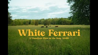 White Ferrari  VisualizerMP4  Shot on Sony A6400 [upl. by Zoilla]