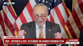 Chuck Schumer is REALLY EXCITED for Kamala Harris Shes got GRASSROOTS SUPPORT [upl. by Eloccin]