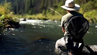 Fly fishing the most productive river I know [upl. by Arnie]