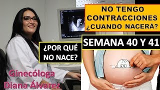 ✅ PRIMERA SEMANA  EMBRIOLOGÍA 📚 DESARROLLO EMBRIONARIO HUMANO  GESTACIÓN  EMBARAZO [upl. by Yrbua]