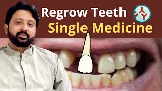 How to Regrow Your Teeth with a Single Medicine  New Japanese Research [upl. by Ainirtak374]