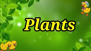 Plants  Plants name in English [upl. by Noiz307]