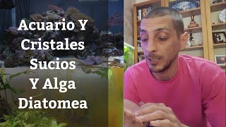 🔵 Acuario Sucio Cristales Marrones Y Algas Diatomeas Acuarios MB [upl. by Megdal]