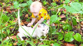 Bibi monkey accidentally found a lost injured kitten Ask Dad to take kitten to the doctor [upl. by Ulphi]