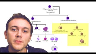 Blood Cancers Explained Leukemia Myeloma Lymphoma and more [upl. by Krasnoff]