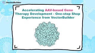 Accelerating AAVbased Gene Therapy Development Onestop Shop Experience from VectorBuilder [upl. by Nanahs]