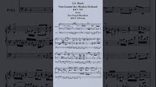 JS Bach Nun kommder Heiden HeilandBWV 599 2 pianosshorts [upl. by Anirdua]